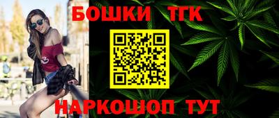 спиды Гай