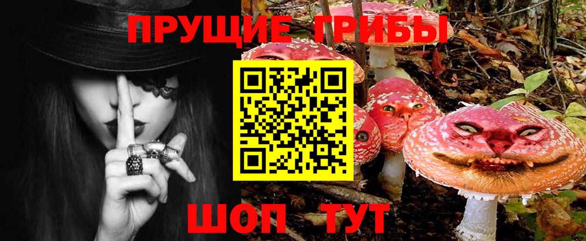 Псилоцибиновые грибы ЛСД Ноябрьск